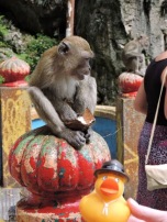 Batu Caves are famous as a Hindu shrine, but they also have monkeys!